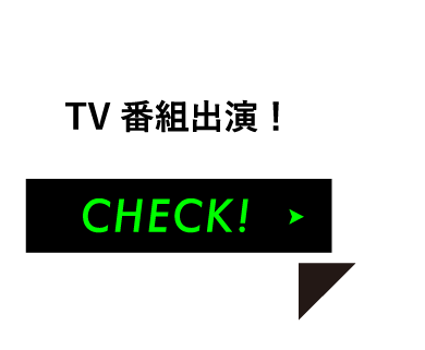 アンカーリンク　TV番組出演